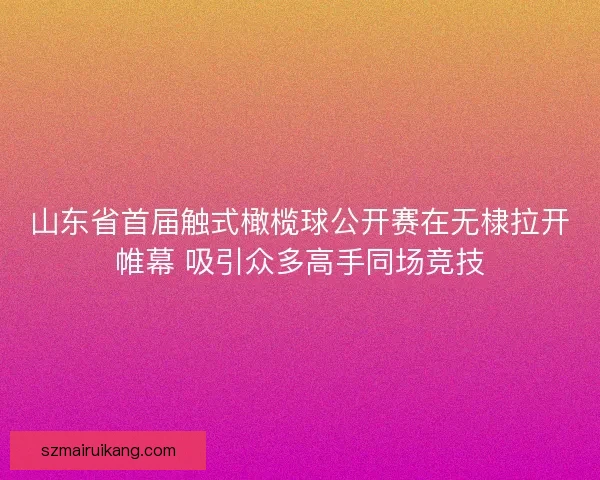 山东省首届触式橄榄球公开赛在无棣拉开帷幕 吸引众多高手同场竞技