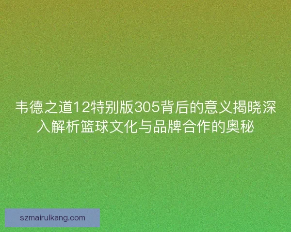 韦德之道12特别版305背后的意义揭晓深入解析篮球文化与品牌合作的奥秘
